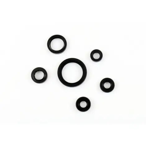 Serie Paraolio Motor