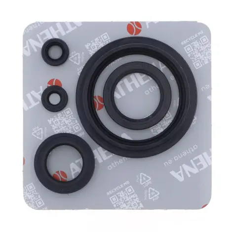 Serie Paraolio Motor