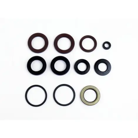 Serie Paraolio Motor