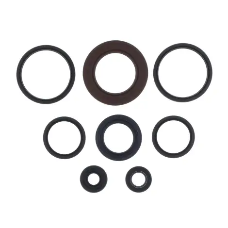 Serie Paraolio Motor