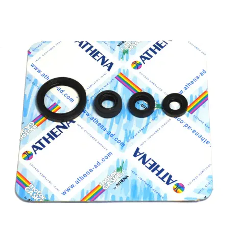 Serie Paraolio Motor