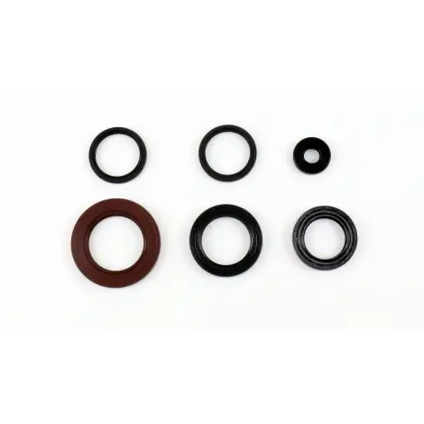 Serie Paraolio Motor