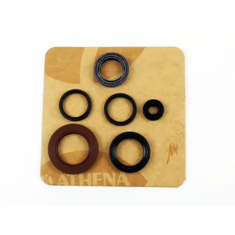 Serie Paraolio Motor