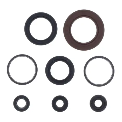 Serie Paraolio Motor