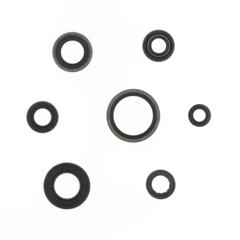 Serie Paraolio Motor