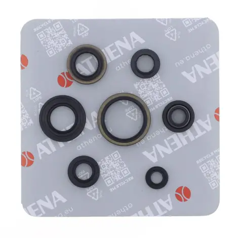 Serie Paraolio Motor