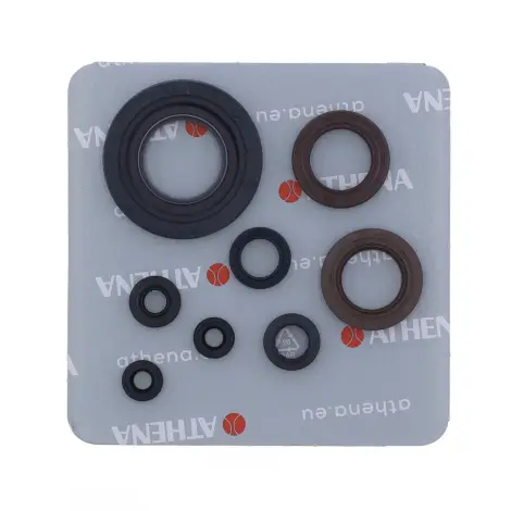 Serie Paraolio Motor