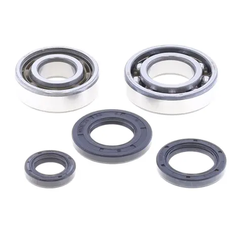 Kit Revisione Albero