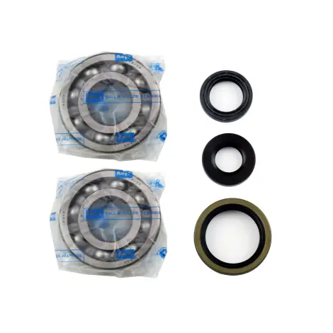 Kit Revisione Albero