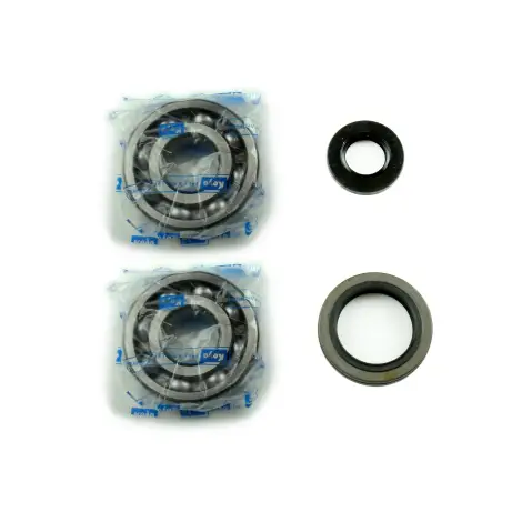 Kit Revisione Albero