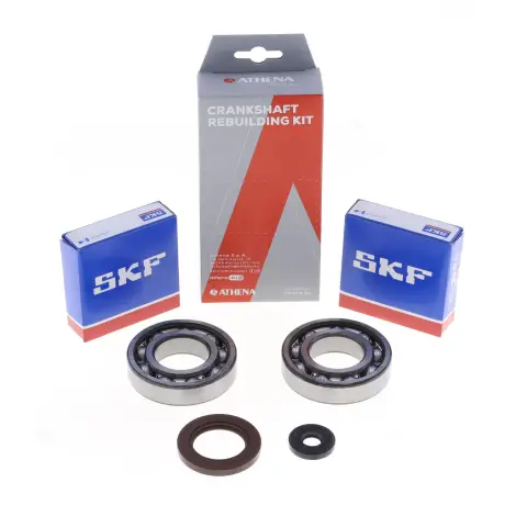 Kit Revisione Albero