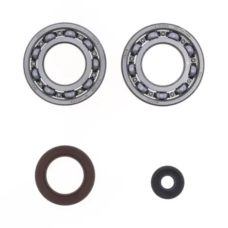 Kit Revisione Albero