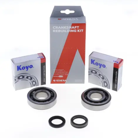 Kit Revisione Albero