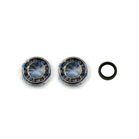 Kit Revisione Albero