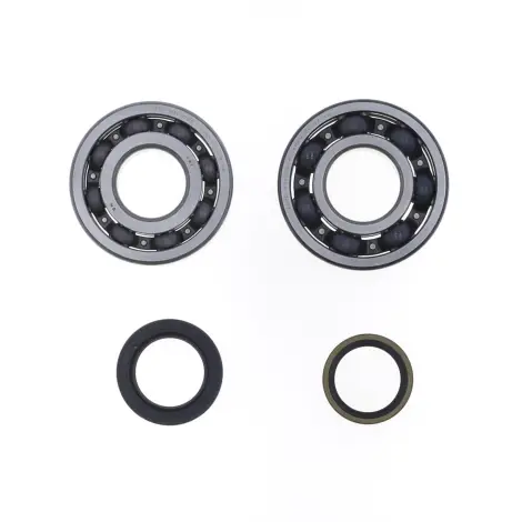 Kit Revisione Albero
