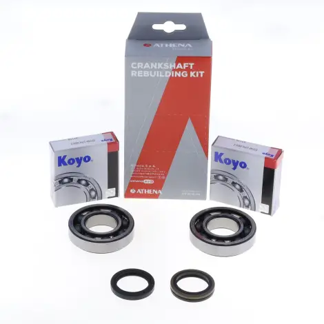 Kit Revisione Albero