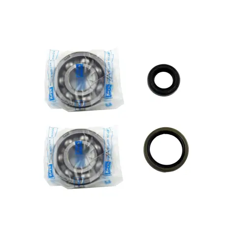 Kit Revisione Albero