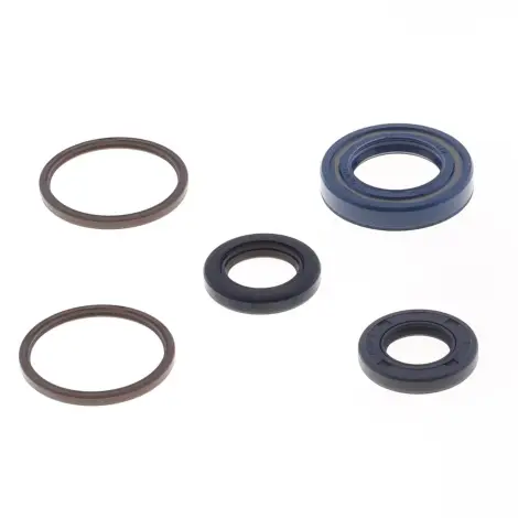 Serie Paraolio Motor