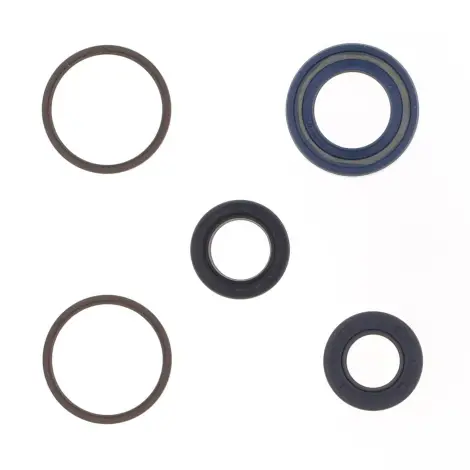Serie Paraolio Motor