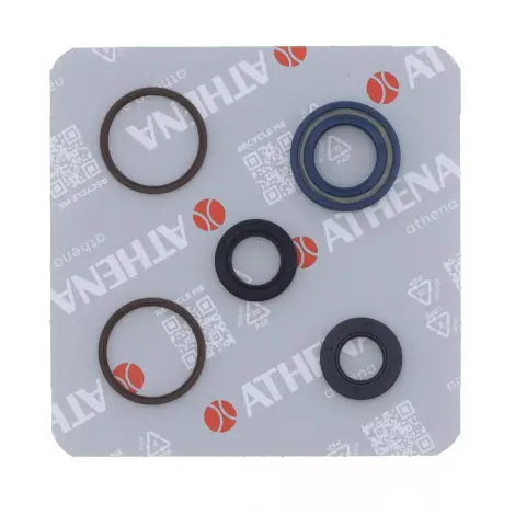 Serie Paraolio Motor