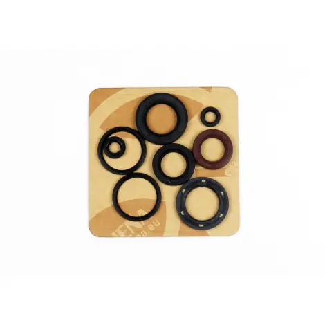 Serie Paraolio Motor