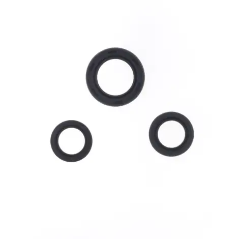 Serie Paraolio Motor