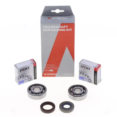 Kit Revisione Albero