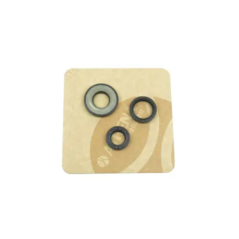 Serie Paraolio Motor