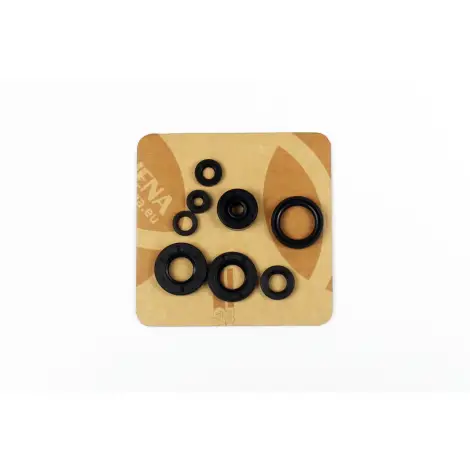 Serie Paraolio Motor