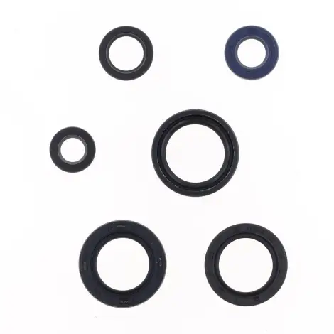 Serie Paraolio Motor