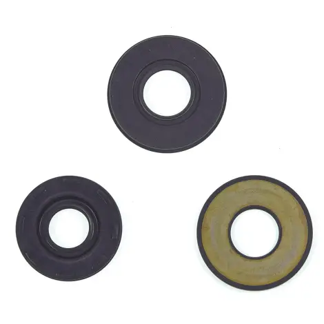 Serie Paraolio Motor