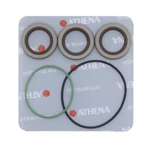 Serie Paraolio Motor