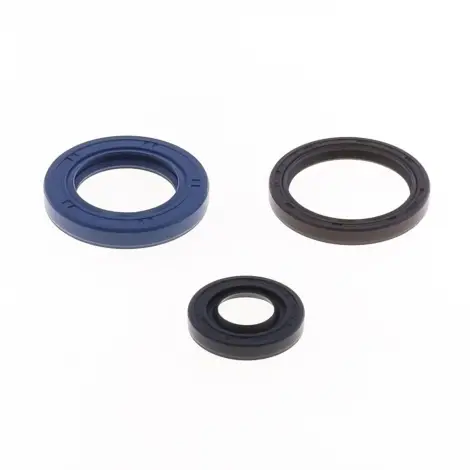 Serie Paraolio Motor