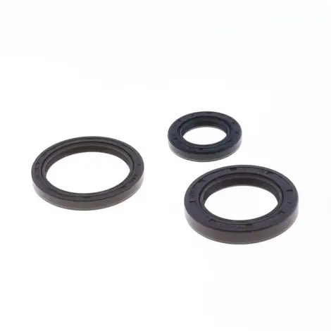 Serie Paraolio Motor