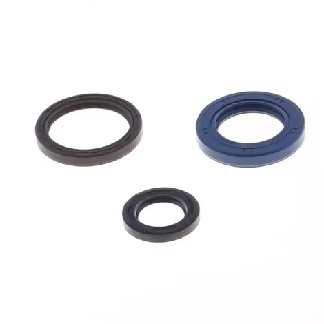 Serie Paraolio Motor