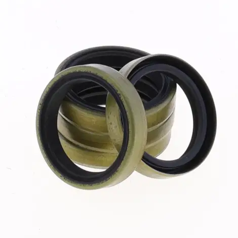 Kit Paraolio 25x32x6