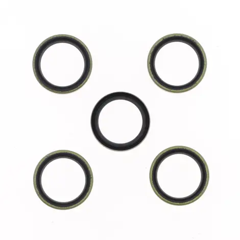 Kit Paraolio 25x32x6