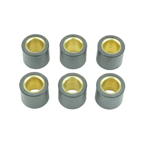 Kit 6 Rulli Variator