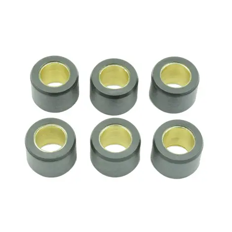 Kit 6 Rulli Variator