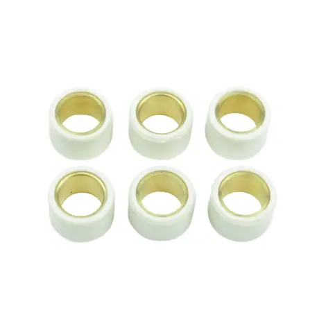 Kit 6 Rulli Variator