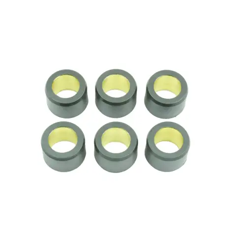 Kit 6 Rulli Variator