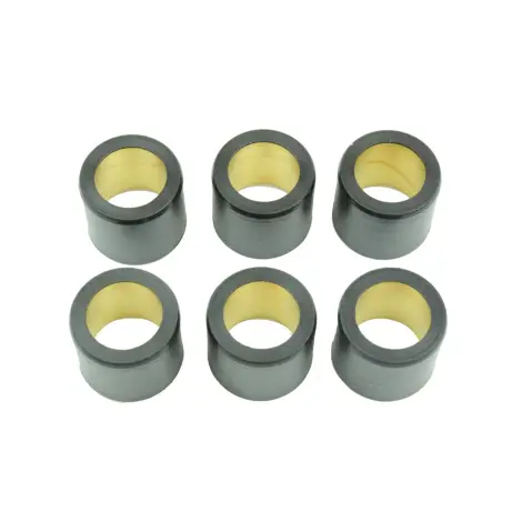 Kit 6 Rulli Variator