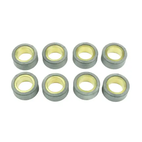 Kit 8 Rulli Variator