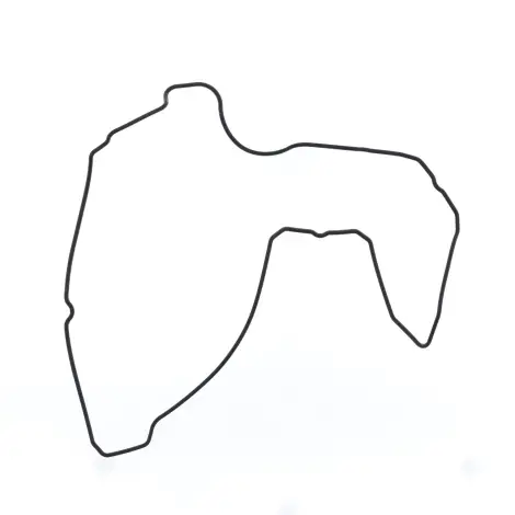 Guarnizione Coperchi