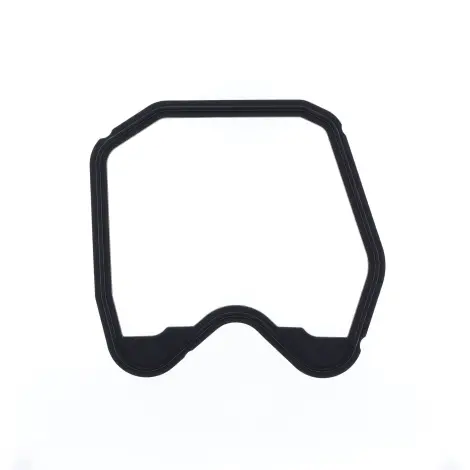 Guarnizione Coperchi