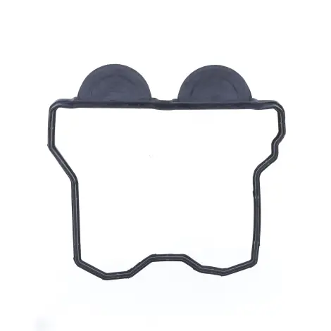 Guarnizione Coperchi