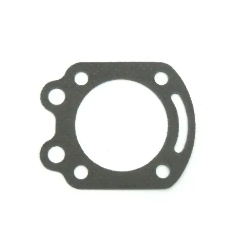 Guarnizione Testata