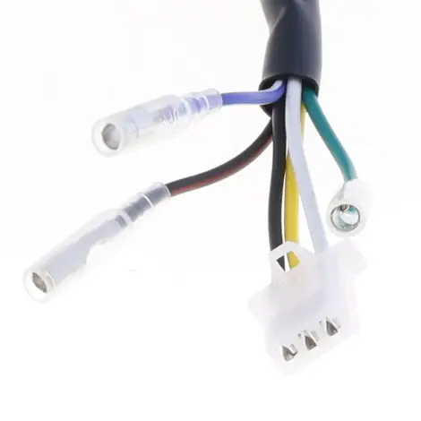 Statore, 1 Connettor