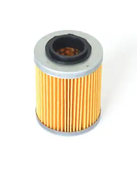 Filtro Olio a cartuc