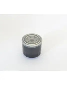 Filtro Olio avvitabi